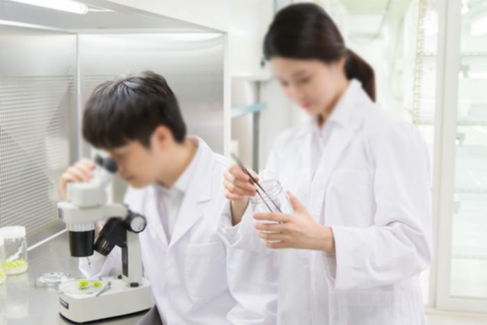 국산 신약, 출시까지 ‘평균 11년·개발 비용 423억’ 든다