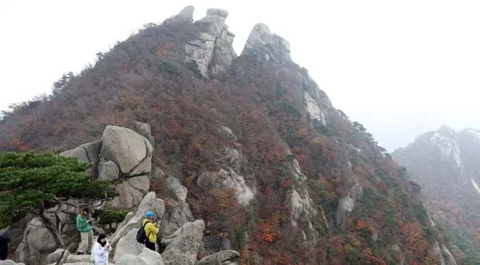 북한산 오르던 70대 여성, 백운대서 '추락사'