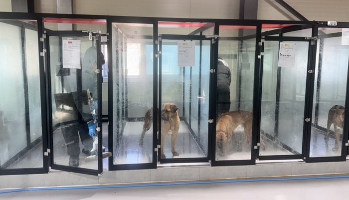 “구린내 난다”... 동물보호소 봉사 거부하며 가위바위보로 서로 떠넘긴 봉사자들