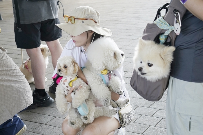 “위탁비 걱정 끝”... 동대문구, 사정 어려운 견주 위해 ‘우리동네 펫위탁소’ 본격 가동