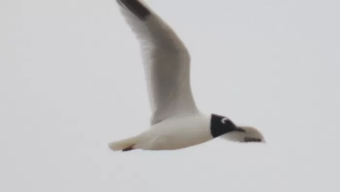 국립생물자원관