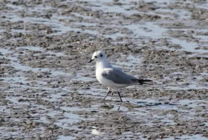 국립생물자원관