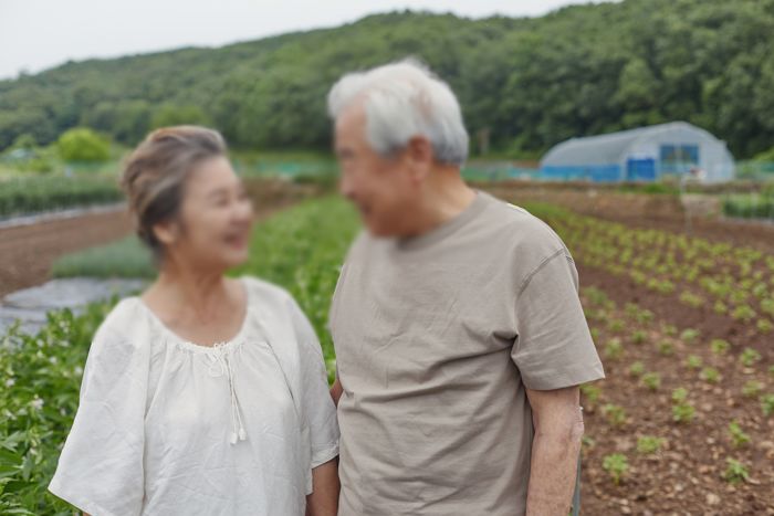부모님께 생겨난 증상에 따라 챙겨드리기 좋은 의약품 4가지