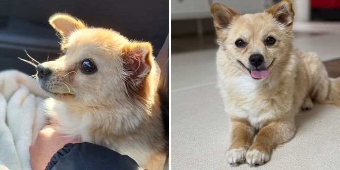 2026-02-07 09 07 54.jpg