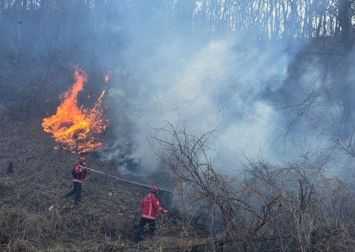 국보급 문화재 사수하라... 경주 산불 ‘국가소방동원령’ 발령 속 총력전