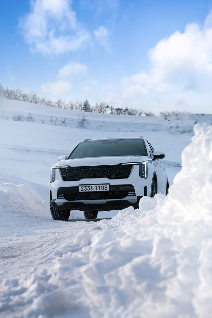 “판매비중 30% 돌파”... 연비와 정숙성 모두 잡은 하이브리드차, ‘전성시대’ 열렸다