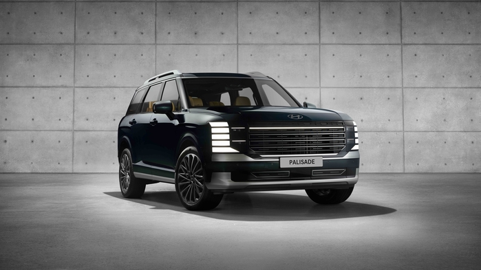 The All New _!HS_PALISADE_!HE_ (2).jpg