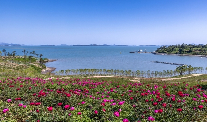 10만원 기부하고 신안으로 여행 떠나요... 신안군, 기부자 예우 프로그램 본격 시행