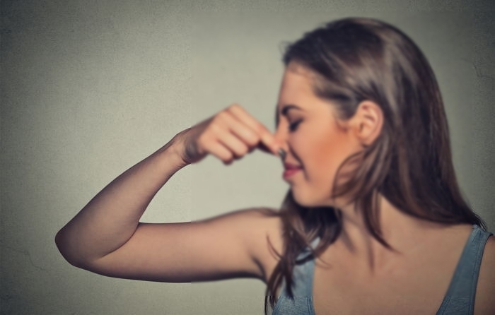 '대변 알약'이 암 치료 돕는다?... 항암제 부작용 줄고, 약효과 높였다