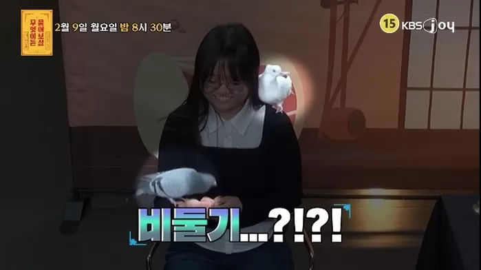 반려동물로 ‘비둘기’ 키우는 20살 女, 부모 속이고 키우다 갈등 폭발