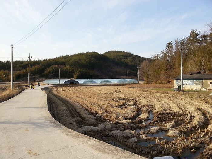 부여서 실종된 80대 여성... 하루 만에 충남 논산서 숨진 채 발견