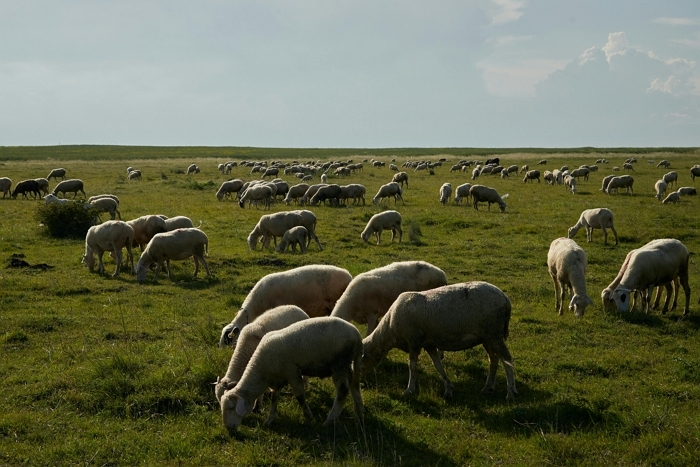 “단순 숙취 아니었다”... 호주 여행 중 무심코 ‘이것’ 만졌다가 18개월간 병원 신세 진 女