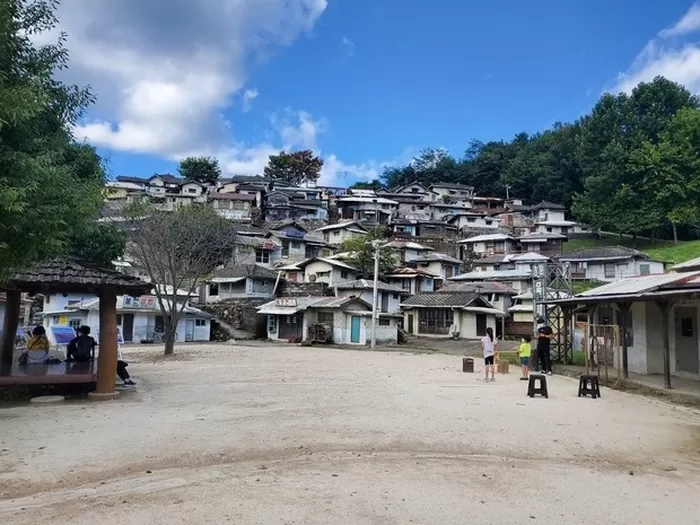 “반려동물 전용 타임머신?”... ‘레트로 감성’ 폭발해 집사들 사이서 난리 난 ‘이곳’