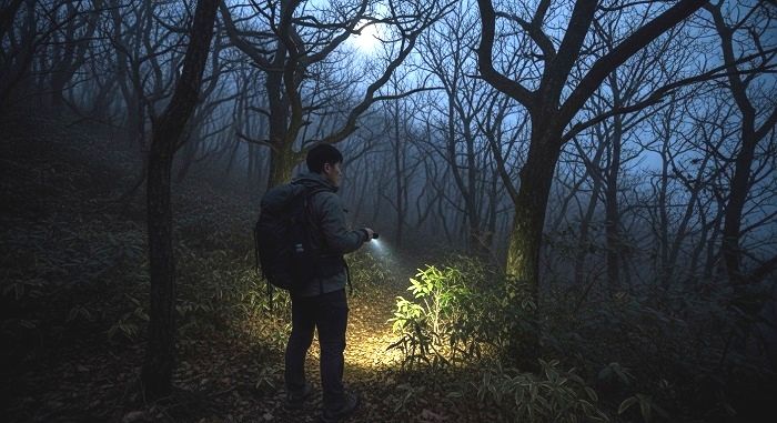 감시카메라 피해 인적 끊긴 ‘야산’만 찾던 20대들... 주민들도 몰랐던 ‘그곳’의 정체