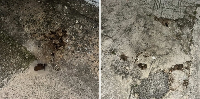 2026-02-11 14 50 14.jpg