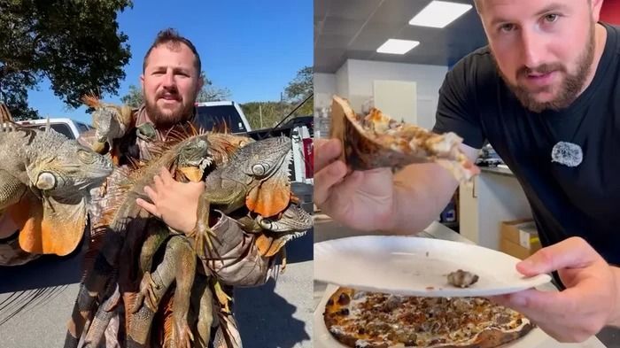 추위에 기절한 '이구아나' 주워 피자에 '토핑'으로 올려버린 미국 피자집