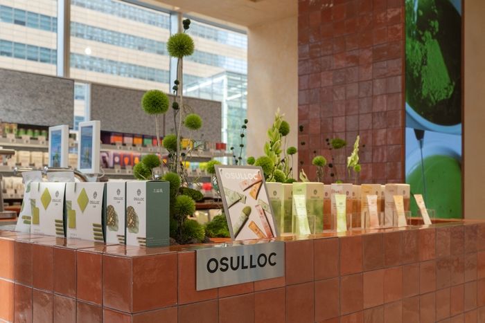 말차 열풍에 연매출 1000억원 돌파한 오설록, 올리브영 ‘올리브베러’에 ‘티 바’ 연다