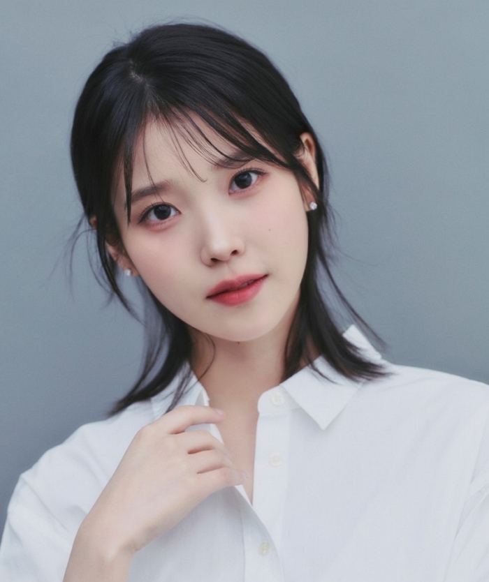 ‘아이유 간첩설’ 유포자, 벌금 500만원 선고... “선처 없다”