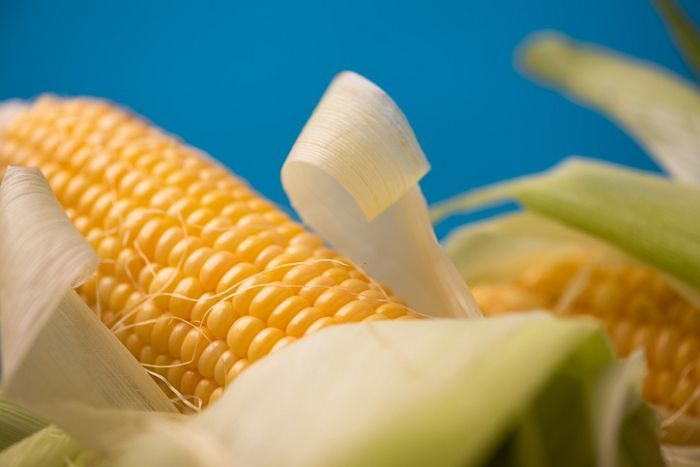 CU, 겨울철 맞아 '자색고구마∙옥수수 우유' 출시