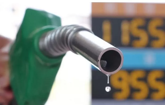 기사의 이해를 돕기 위한 자료 사진 / 뉴스1