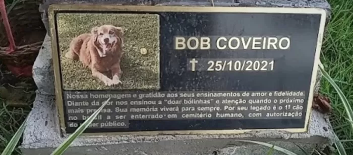 “사후 주인 곁에 묻어줘라”... 브라질, 반려동물과 주인 ‘합장’ 허용법 시행