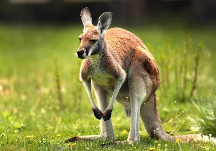 기사의 이해를 돕기 위한 자료 사진 / GettyimagesKorea