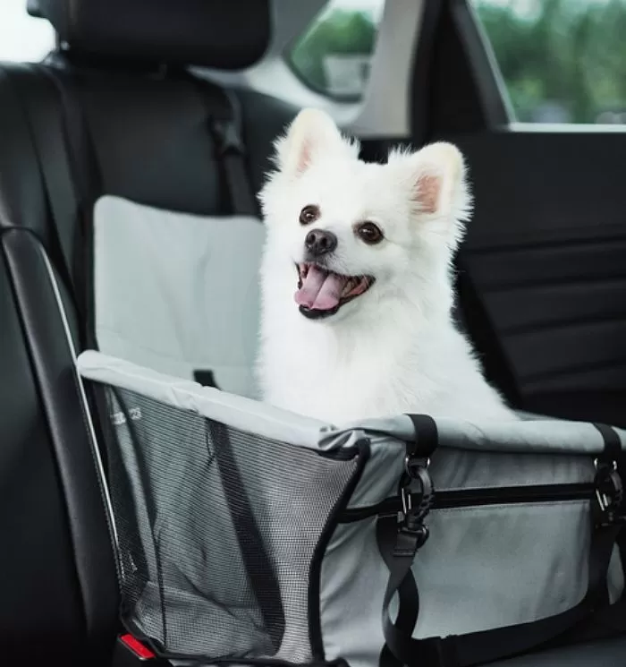 기사의 이해를 돕기 위한 자료 사진 / gettyimagesBank