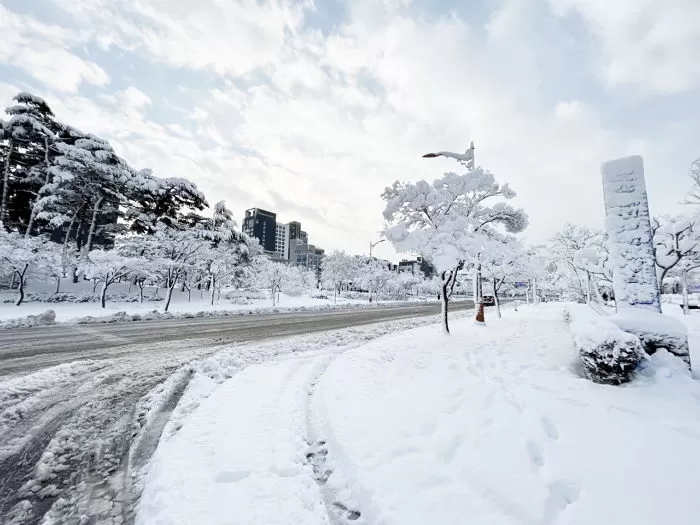 기사의 이해를 돕기 위한 자료 사진 / 뉴스1