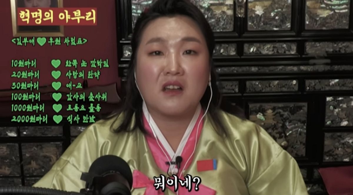 이수지, 이번엔 北 BJ ‘김부애’ 변신... “국정원에서 연락 오는 거 아냐?”