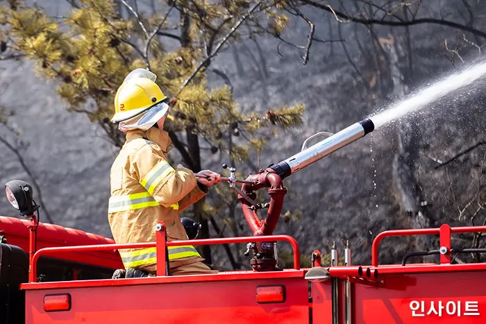 기사와 관련 없는 사진 / 인사이트