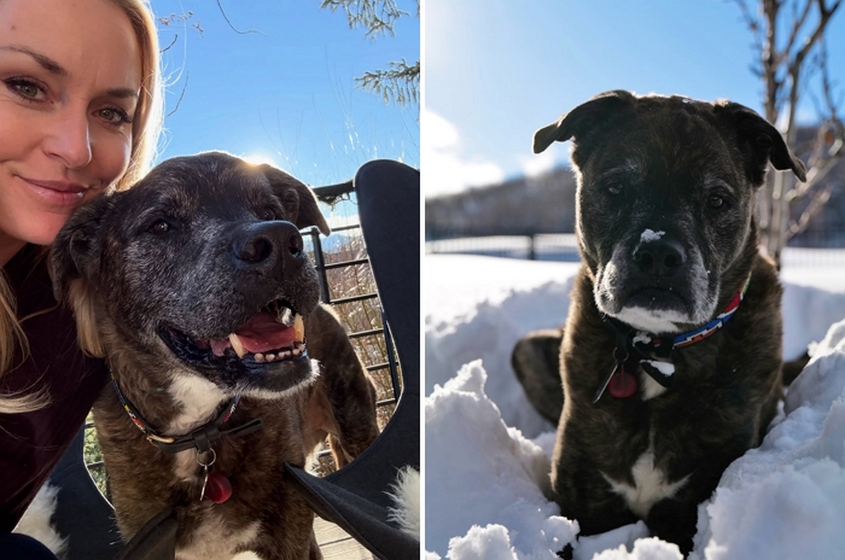 2026-02-20 10 50 57.jpg