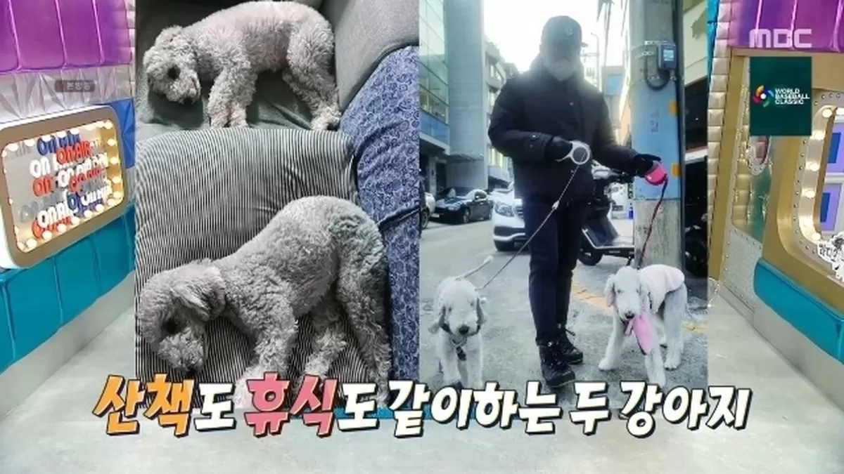 MBC ‘라디오스타’ 캡처