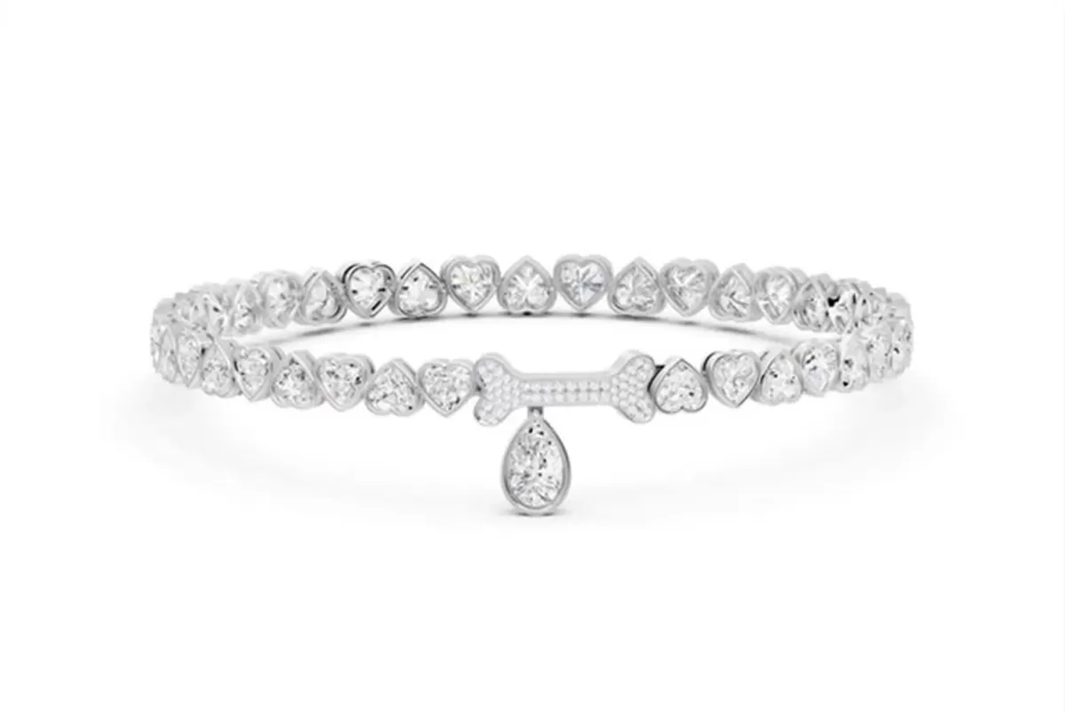 한 반려견 전용 명품 브랜드에서 판매하는 제품의 모습.뉴욕포스트