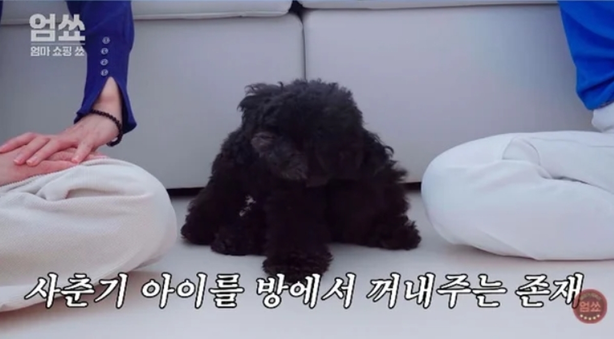 2026-02-21 09 13 55.jpg