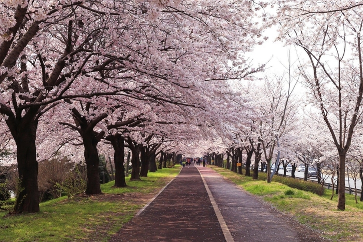 [사진] 부산의 사상구_호텔스닷컴.jpg