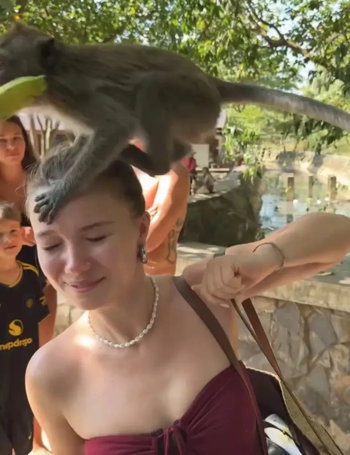 태국 관광지서 원숭이 떼가 여행객 다리 ‘꽉’... “야생동물은 예측 불가”