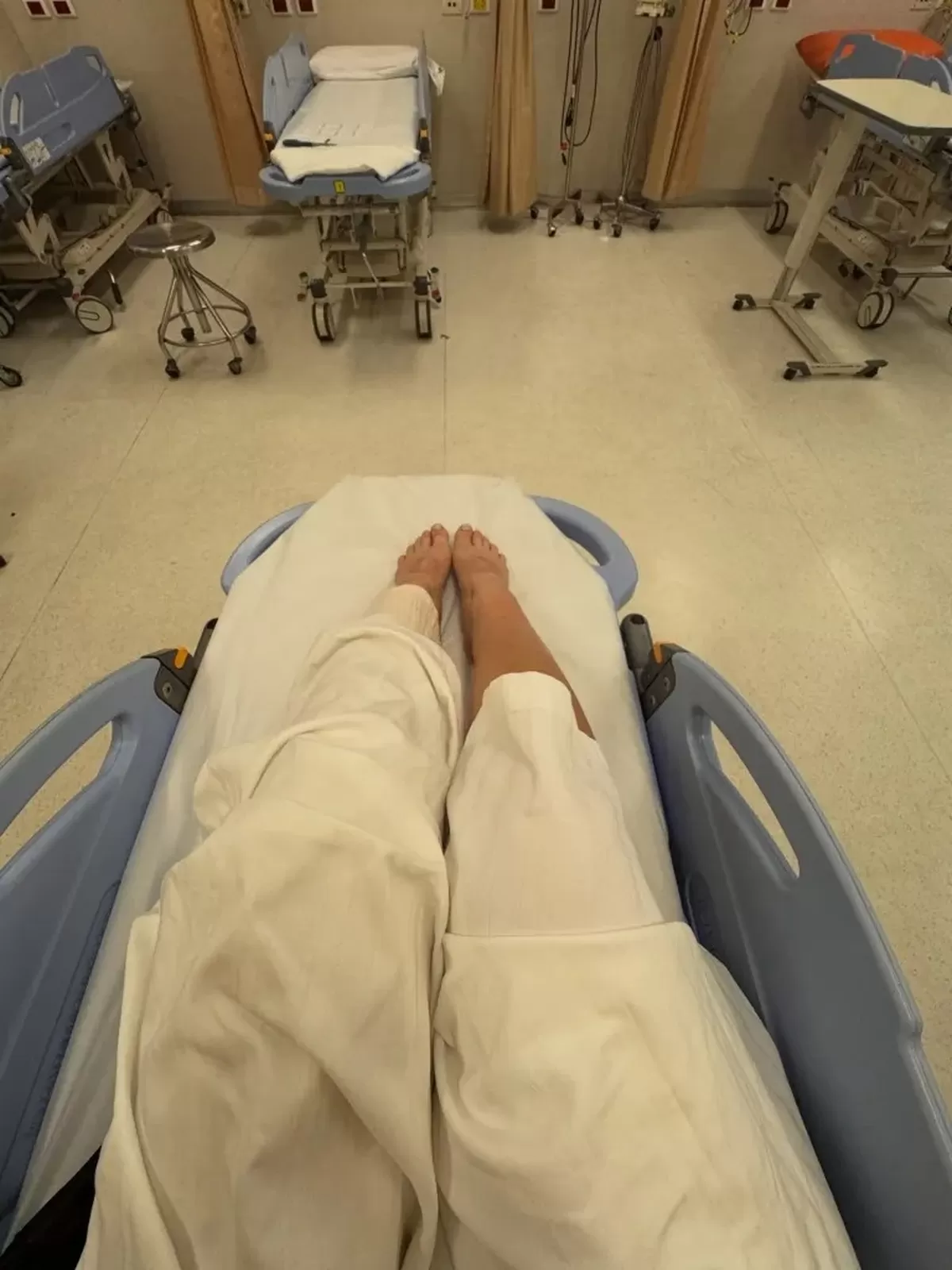 Influencer attacked by monkeys on dream holiday