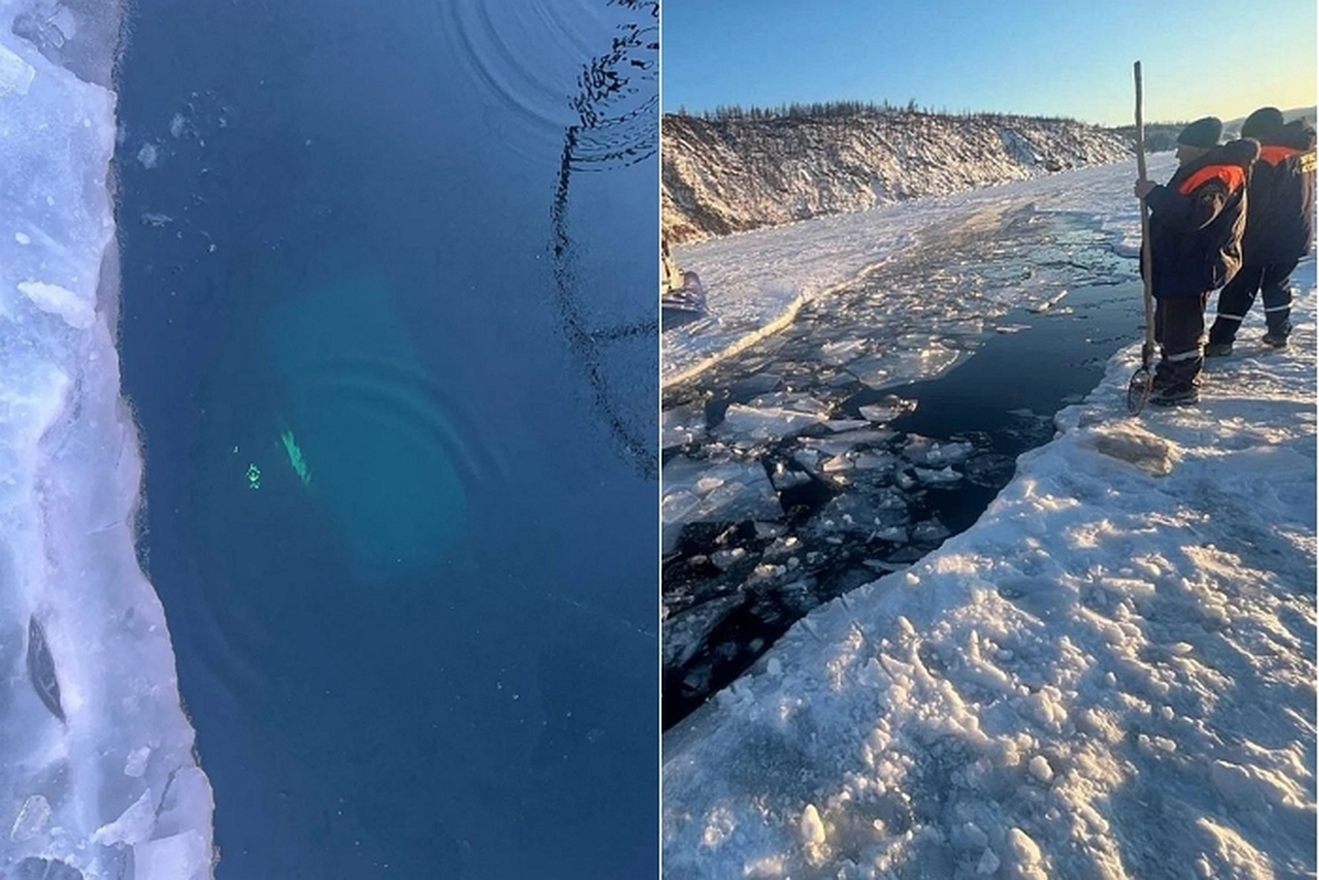 Russian Investigative Committee