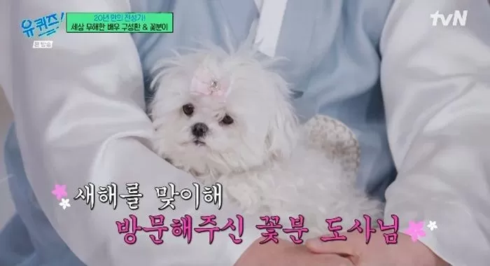 tvN '유 퀴즈 온 더 블럭'