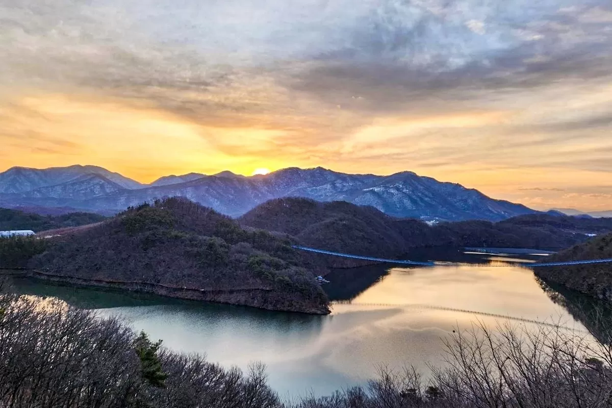 현대모비스 미르숲