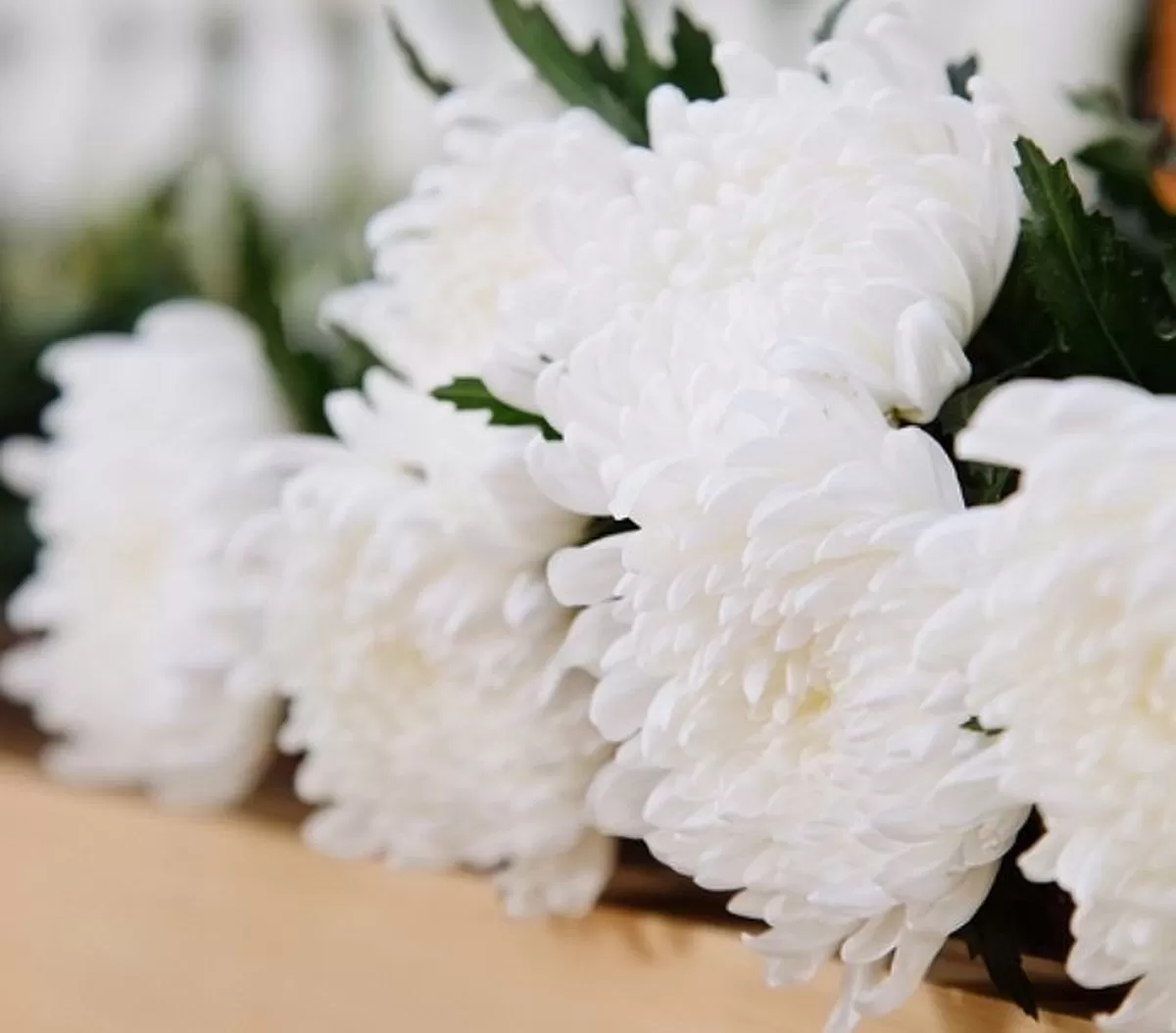 [부고] 송기현 조세금융신문 부사장 모친상