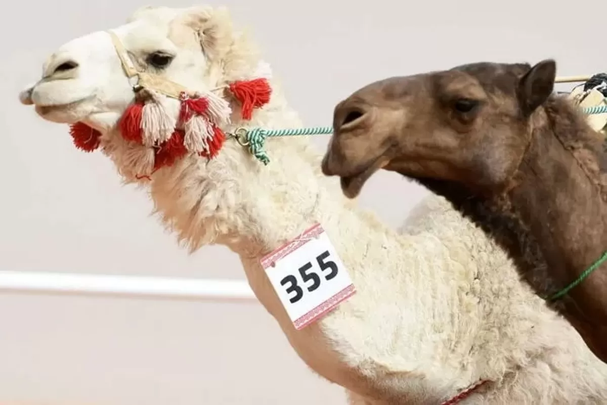기사의 이해를 돕기 위한 자료사진 / gettyimagesBank