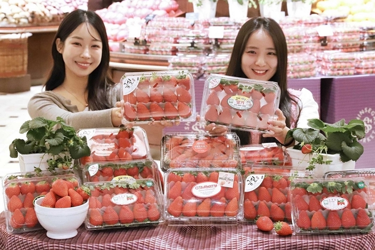 신세계百, 딸기의 신세계에서 딸기의 모든 것 만나보세요 (가로1).jpg