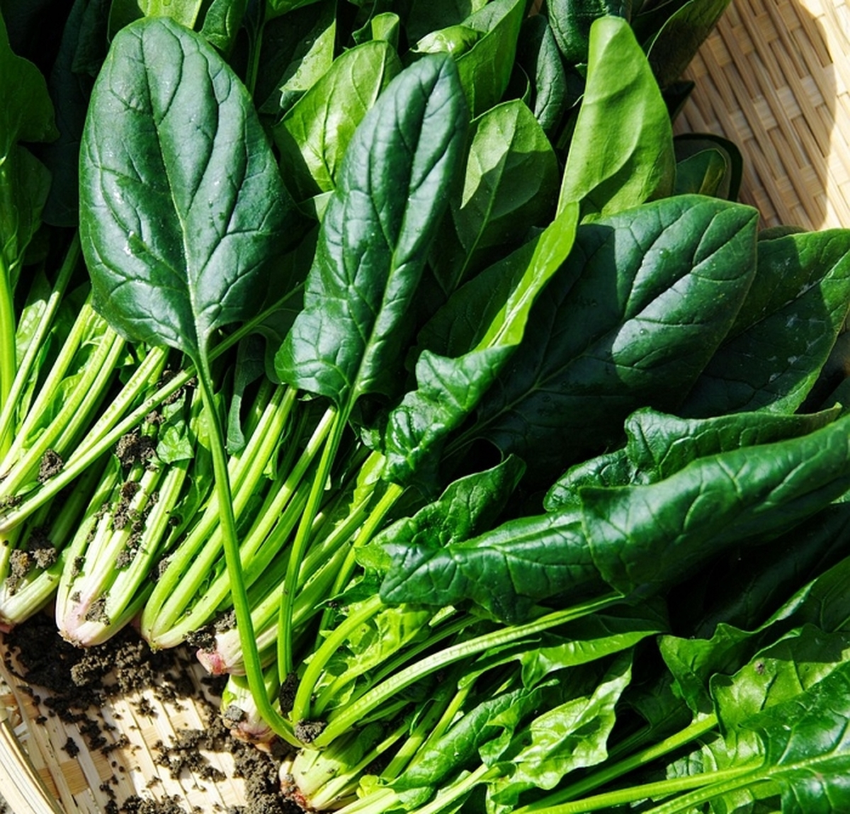 2026-02-27 10 07 06.jpg