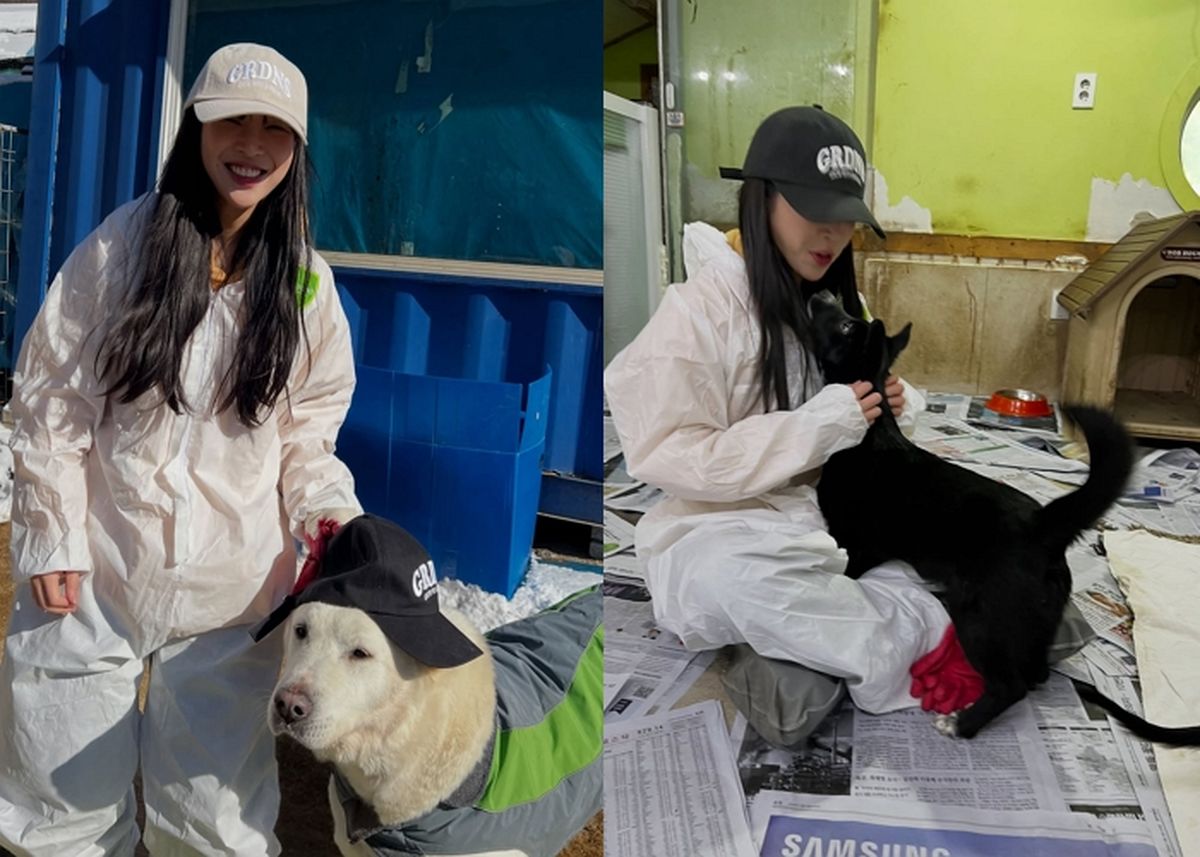 ‘1300만 유튜버’ 쯔양, 유기견 봉사로 선한 영향... “힐링 받고 왔어요”