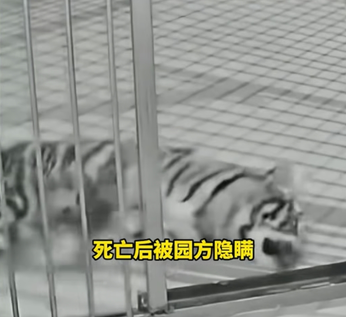 2026-02-27 14 19 58.jpg