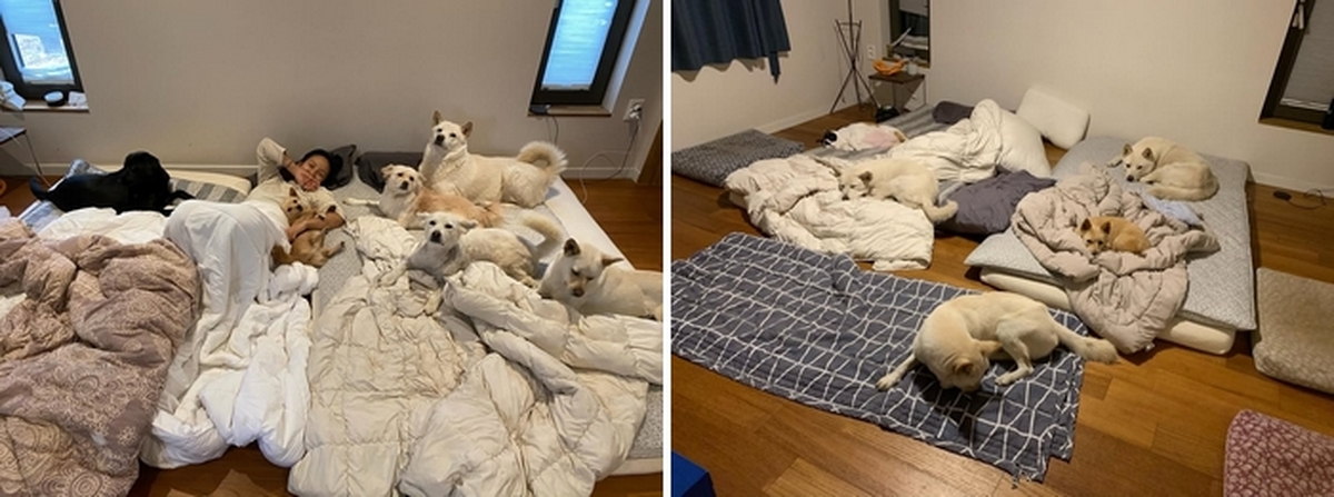 2026-02-28 14 51 29.jpg