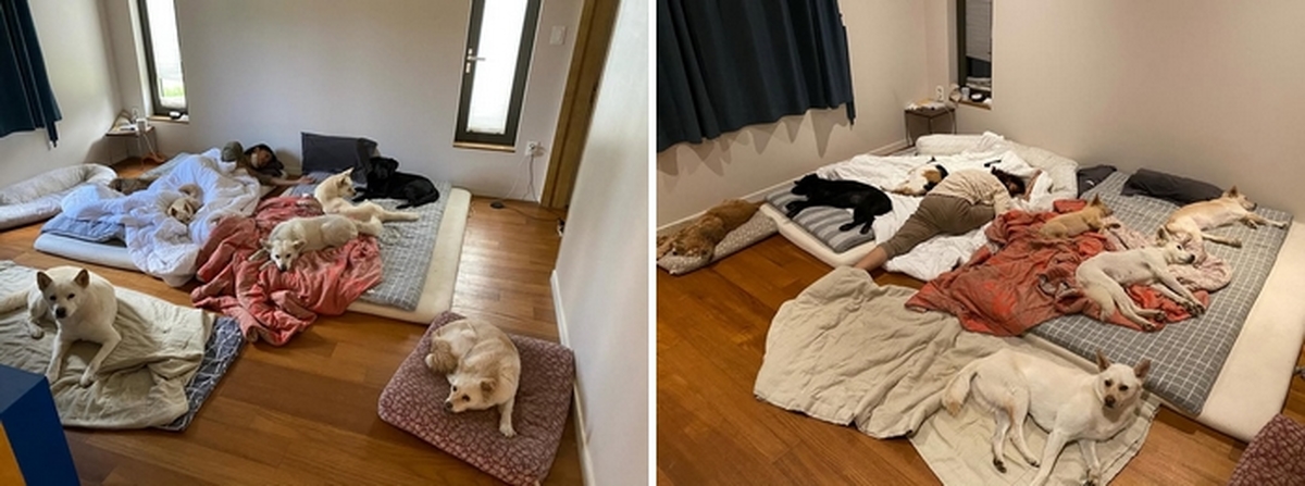 2026-02-28 14 52 10.jpg