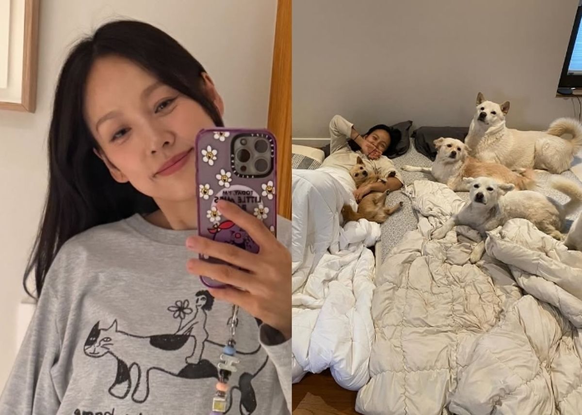 강아지들과 사는 집 공개했다가... “개판이네” 비난 폭격당한 이효리 상황