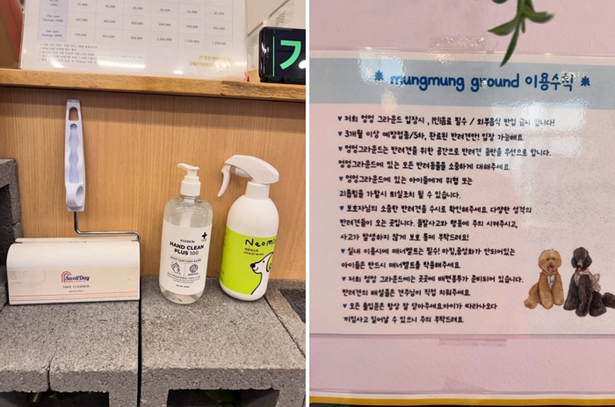 2026-03-03 09 07 09.jpg